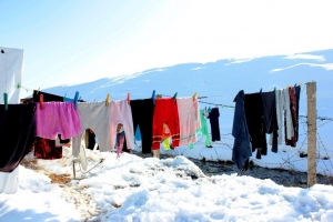 Bao tuyet o Trung Dong