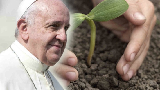 Encyclical on Ecology 