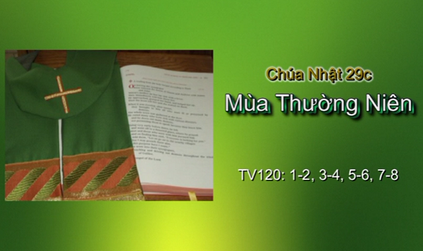 3 phút Thánh Vịnh Chúa Nhật 29 Thường niên năm C