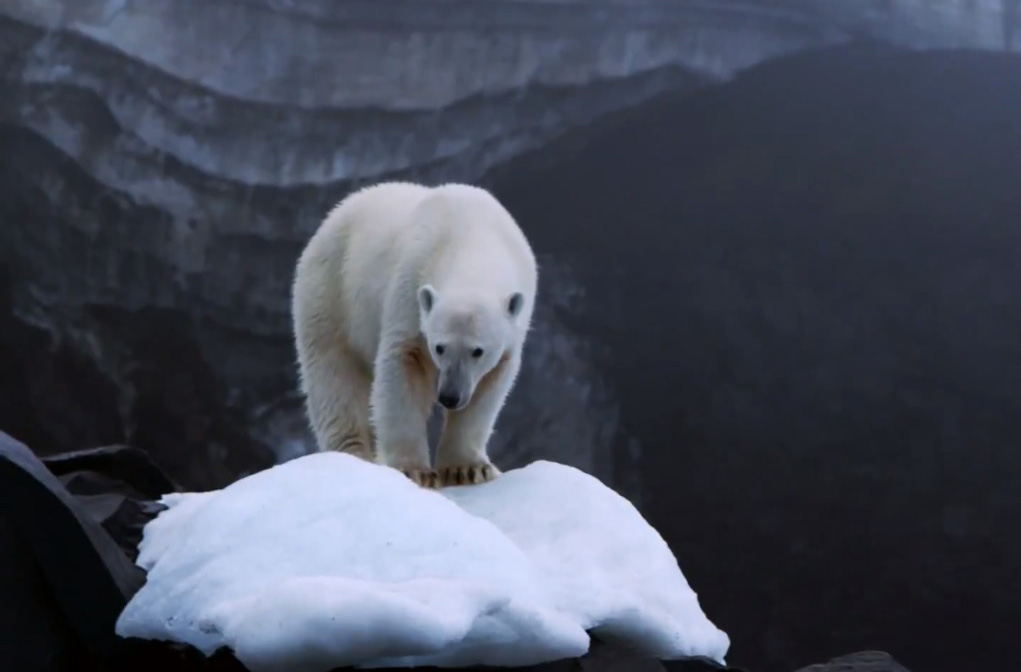 Biến Đổi Khí Hậu