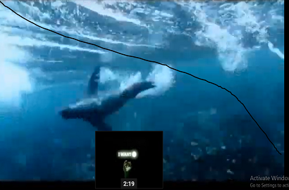 Caritas Việt Nam: Cứu lấy Mẹ đất