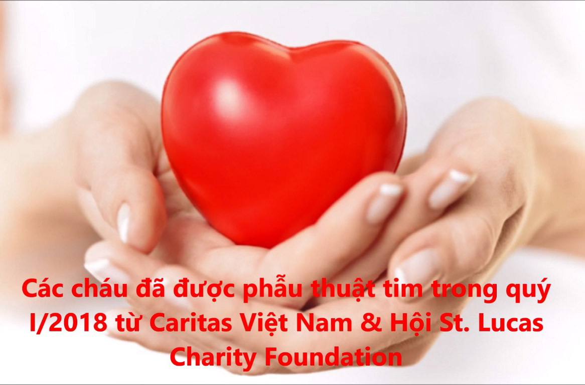 Các bé đã được trợ giúp phẫu thuật tim trong quý I/2018