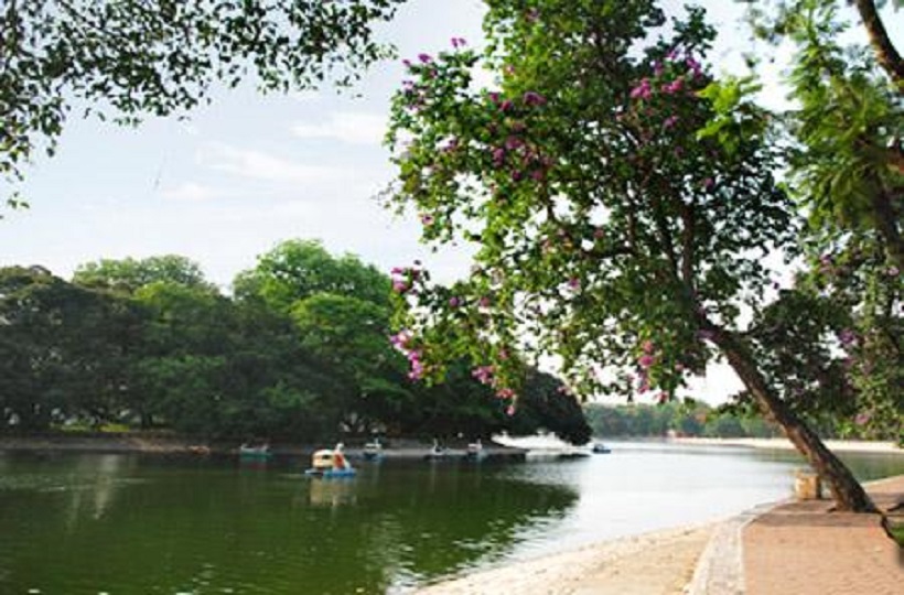 Hãy Là Người Bảo Vệ Mẹ Đất