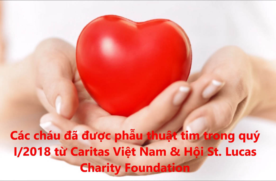 Các bé đã được trợ giúp phẫu thuật tim trong quý I/2018