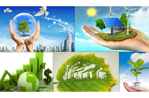 Tôn giáo trong việc giải quyết vấn đề môi trường sinh thái