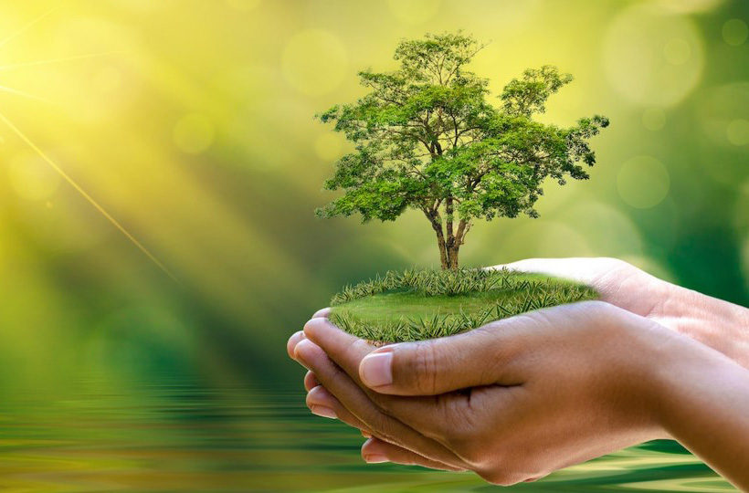 Các đề tài của Thông Điệp Laudato si'