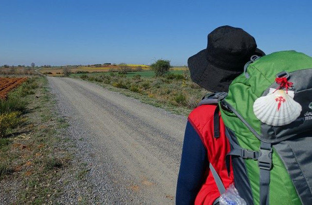 ĐTC Phanxicô khuyến khích bạn trẻ khuyết tật sau chuyến hành hương Camino de Santiago