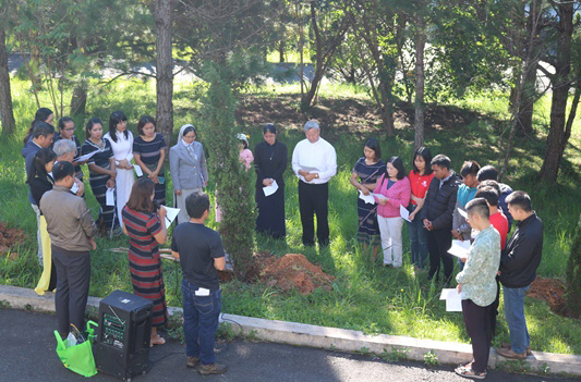 Caritas Đà Lạt: Trồng cây hưởng ứng lời kêu gọi chăm sóc ngôi nhà chung