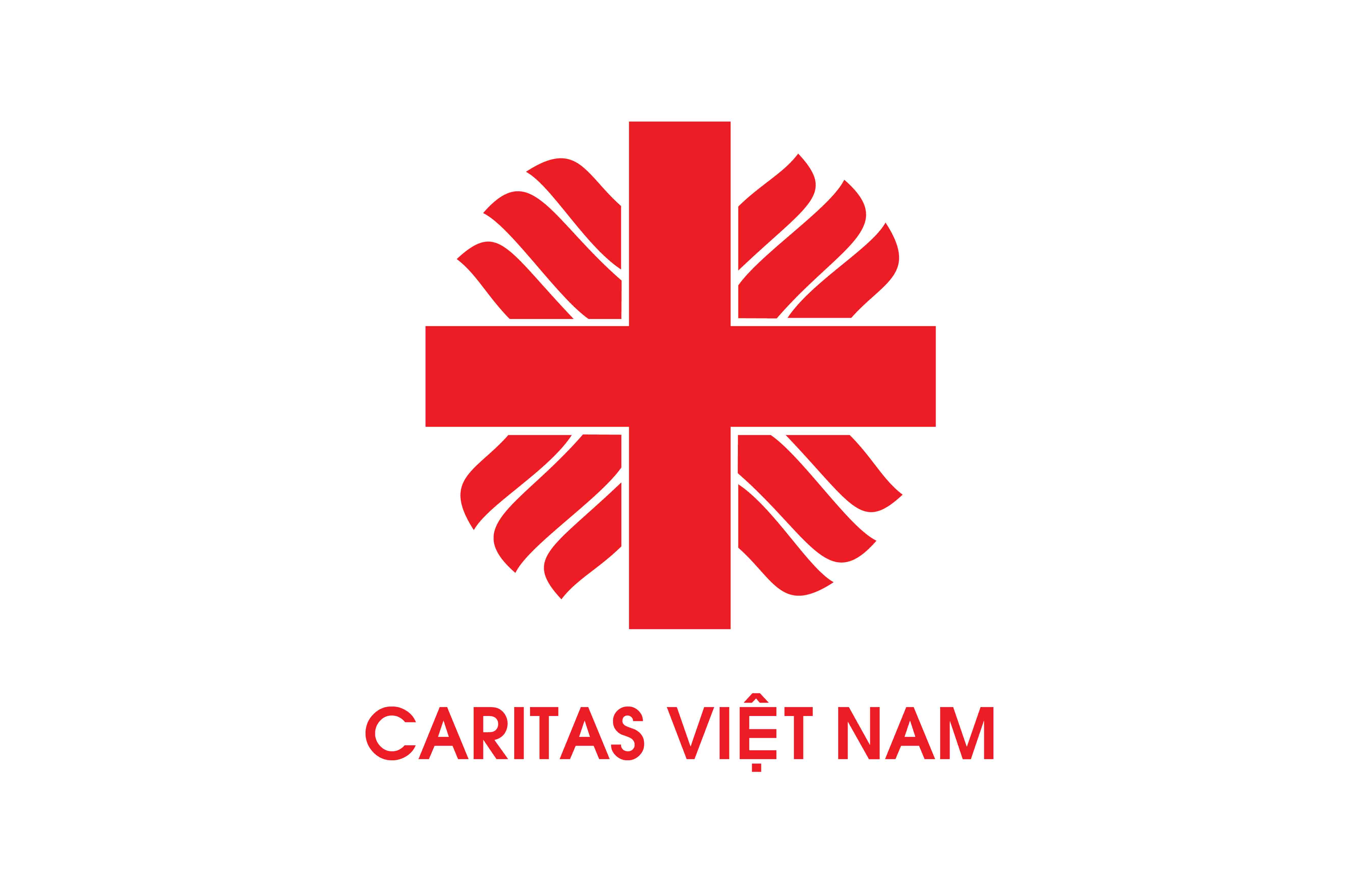 Thông báo Website chính thức của Caritas Việt Nam