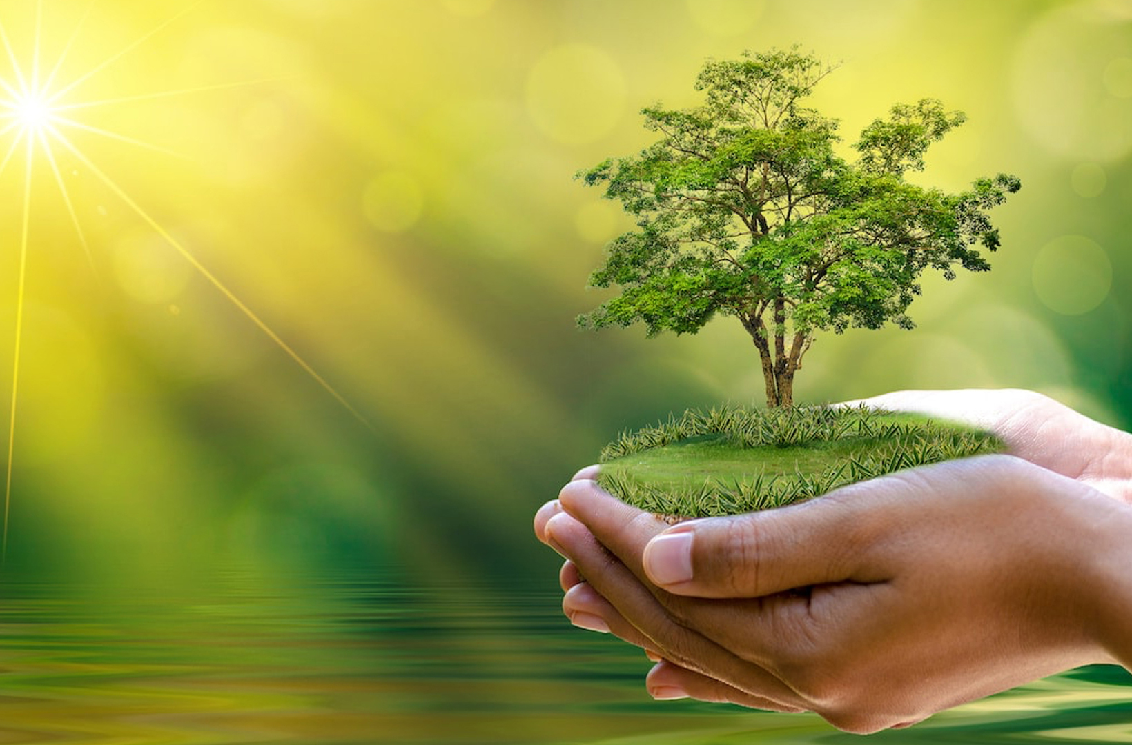 Thư Caritas - Tháng 05/2021: Chiến Dịch “Marathon Cầu Nguyện” Và Tuần Lễ Laudato Si'