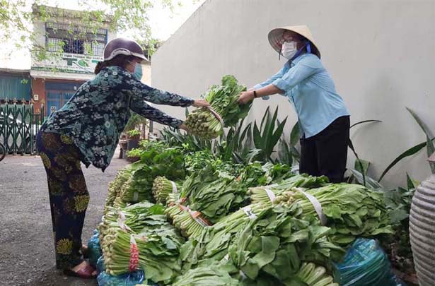 Caritas Sài Gòn: Tiếp nối chương trình Lan Tỏa Yêu Thương