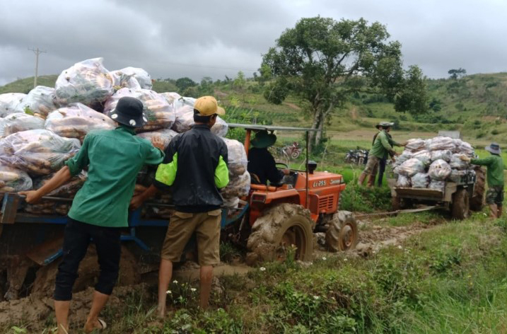 Caritas Đà Lạt: Hơn 255 tấn nông sản hướng về vùng dịch Covid-19