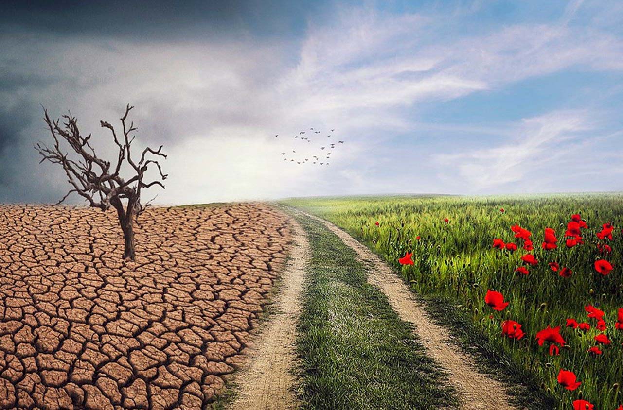 Caritas Quốc tế: Hệ sinh thái toàn diện là giải pháp cho khủng hoảng khí hậu