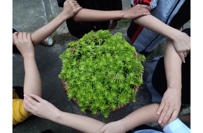 Caritas Lạng Sơn: Cùng Nhau Chăm Sóc