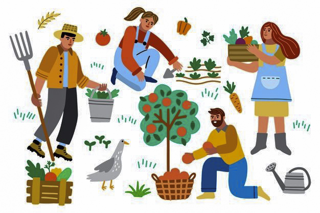 Caritas Việt Nam: Chiến dịch 