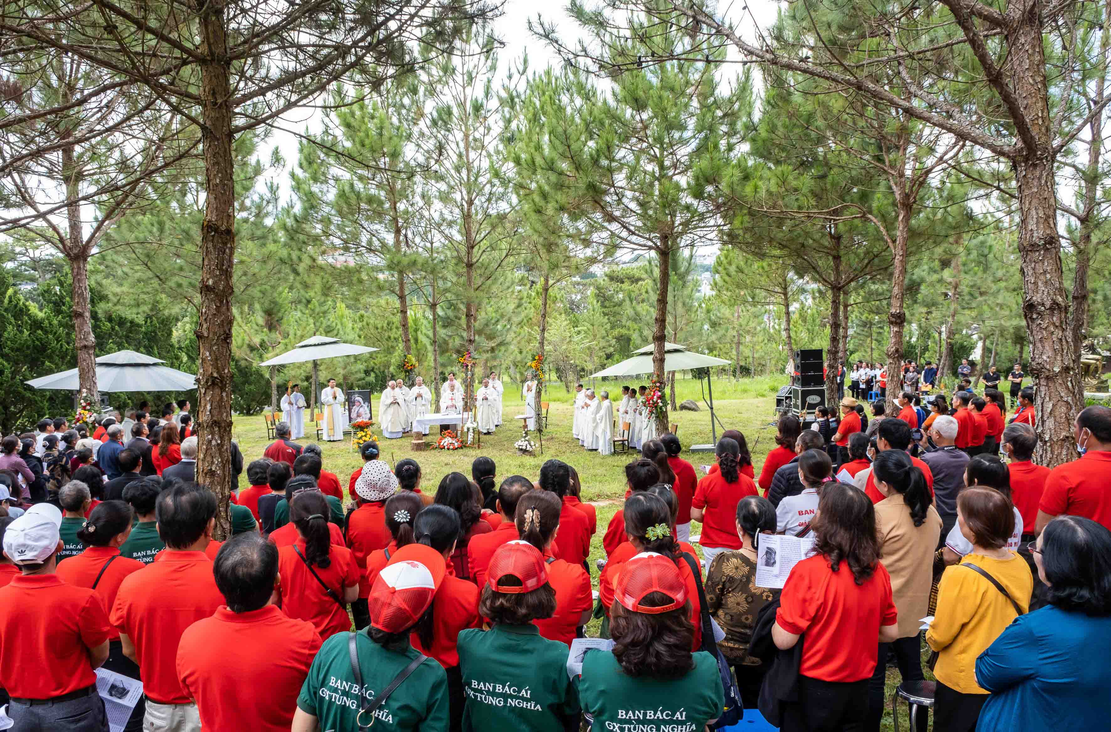 Caritas Đà Lạt khai mạc Mùa Thụ tạo