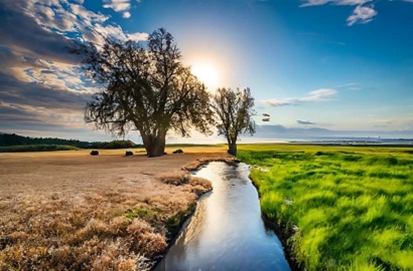 Thông Điệp Laudate Deum - Hãy Ngợi Khen Chúa của Đức Thánh Cha Phanxicô
