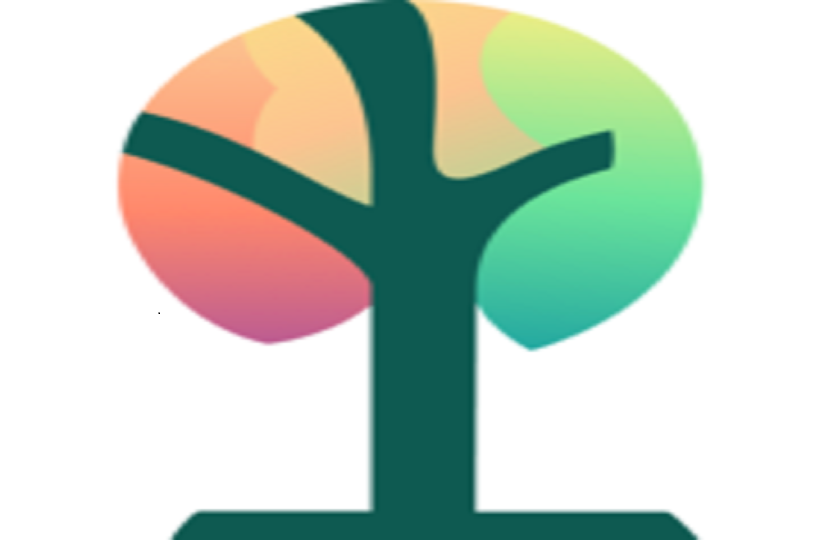 7 BƯỚC LẬP KẾ HOẠCH LAUDATO SI'