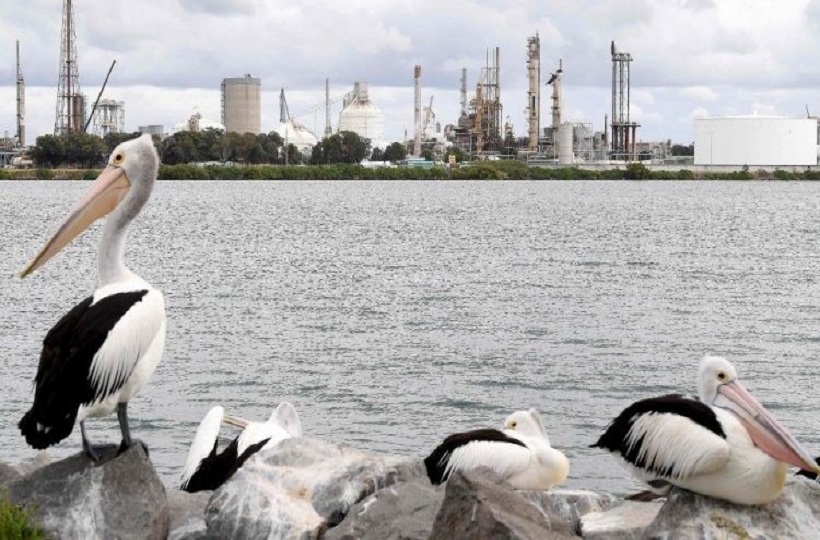 Sự Sụt Giảm Toàn Cầu Trong Các Mục Tiêu Phát Thải Khí CO2