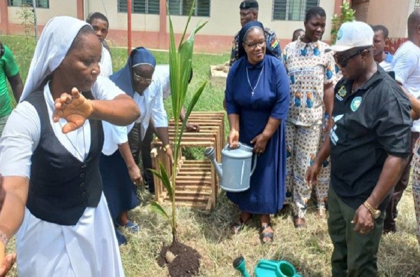 Các nữ tu Ghana dạy trồng cây trong dự án 