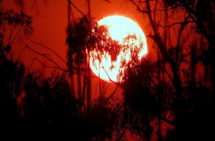 Tháng 1 chính thức được ghi nhận là tháng ấm nhất