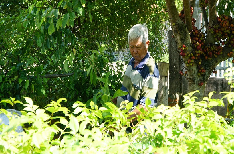 Caritas Phan Thiết: Trồng Cây Xanh – Hành Động Vì Môi Trường