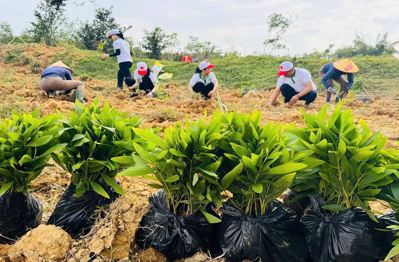 Chung Tay Chăm Sóc Công Trình Tạo Dựng