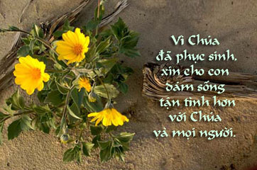 Mừng Chúa Phục Sinh 2016