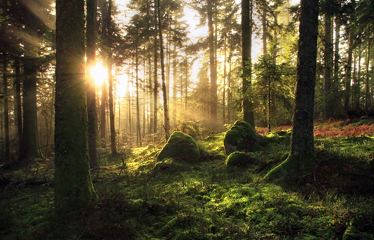 Diễn đàn: Mẹ thiên nhiên là một phụ nữ không đáng tin cậy