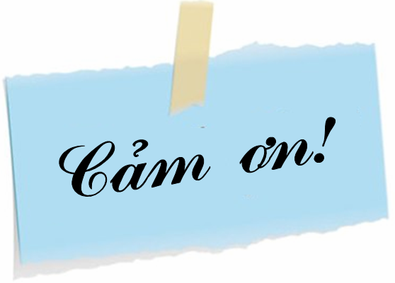 Thư cảm ơn của Caritas Vinh về việc cứu trợ thảm họa môi trường biển