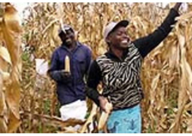 Cha Pierre Ruquoy, nhà truyền giáo ở Zambia trao ban cuộc sống vì Đức Kitô, vì Giáo Hội và cho người nghèo