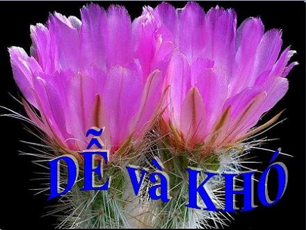 Dễ và khó