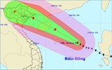 Phó Thủ tướng Hoàng Trung Hải: Chủ động cấm biển và sơ tán dân