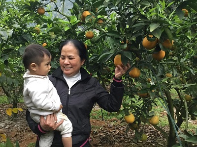 Caritas Việt Nam và Caritas Bắc Ninh thăm dự án phát triển cộng đồng tại Tân Bình và Yên Thịnh – Tuyên Quang