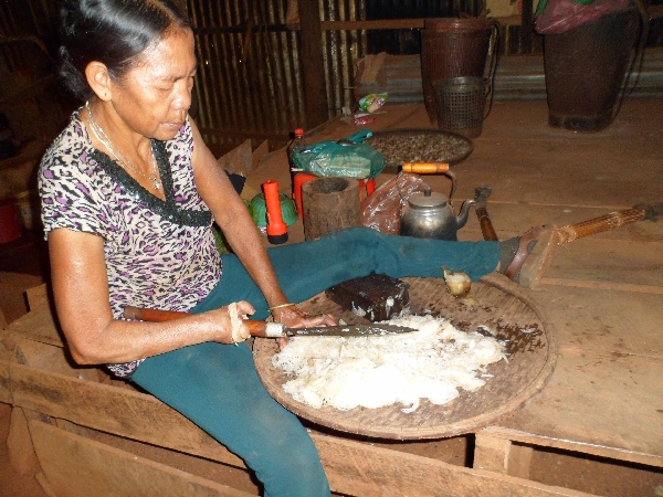 Giới thiệu sơ lược về chương trình Phong