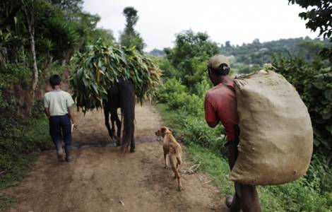 Guatemala - Đức ông Ivan Morales: 