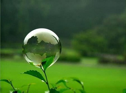 Nhật ký từ Pleiku