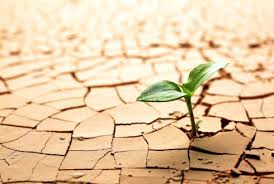 Thư mời Hội thảo “Chia sẻ kinh nghiệm và nâng cao năng lực giảm nhẹ rủi ro thiên tai”